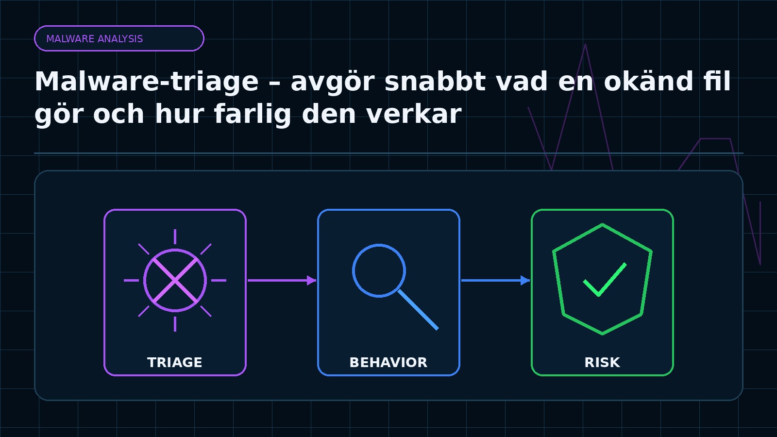 Ämnesspecifik teknisk illustration för artikeln Malware-triage – avgör snabbt vad en okänd fil gör och hur farlig den verkar
