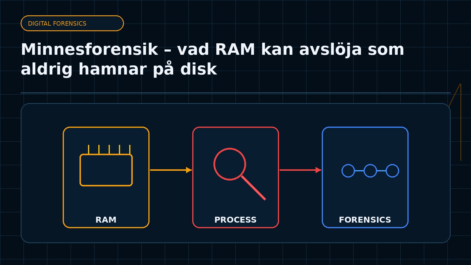 Ämnesspecifik teknisk illustration för artikeln Minnesforensik – vad RAM kan avslöja som aldrig hamnar på disk