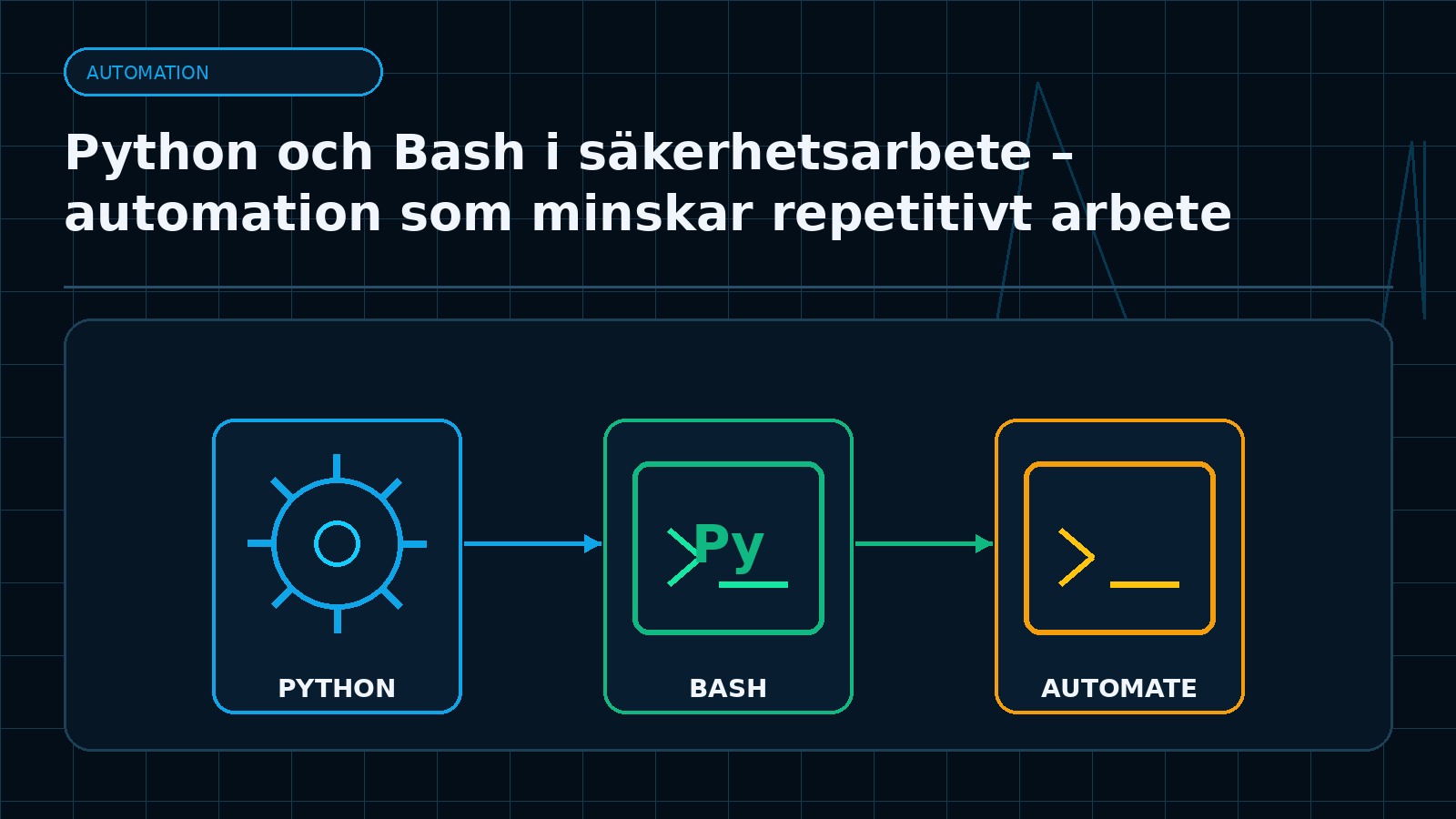 Ämnesspecifik teknisk illustration för artikeln Python och Bash i säkerhetsarbete – automation som minskar repetitivt arbete
